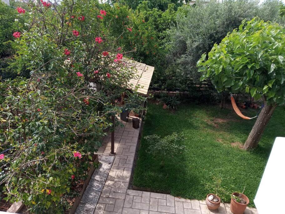 Eleni'S Maisonette Kalamata Zewnętrze zdjęcie